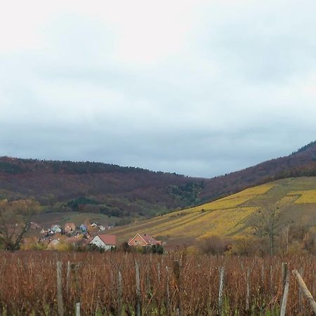 Apartment Route Du Vin Centre Alsace Orschwiller Oda fotoğraf