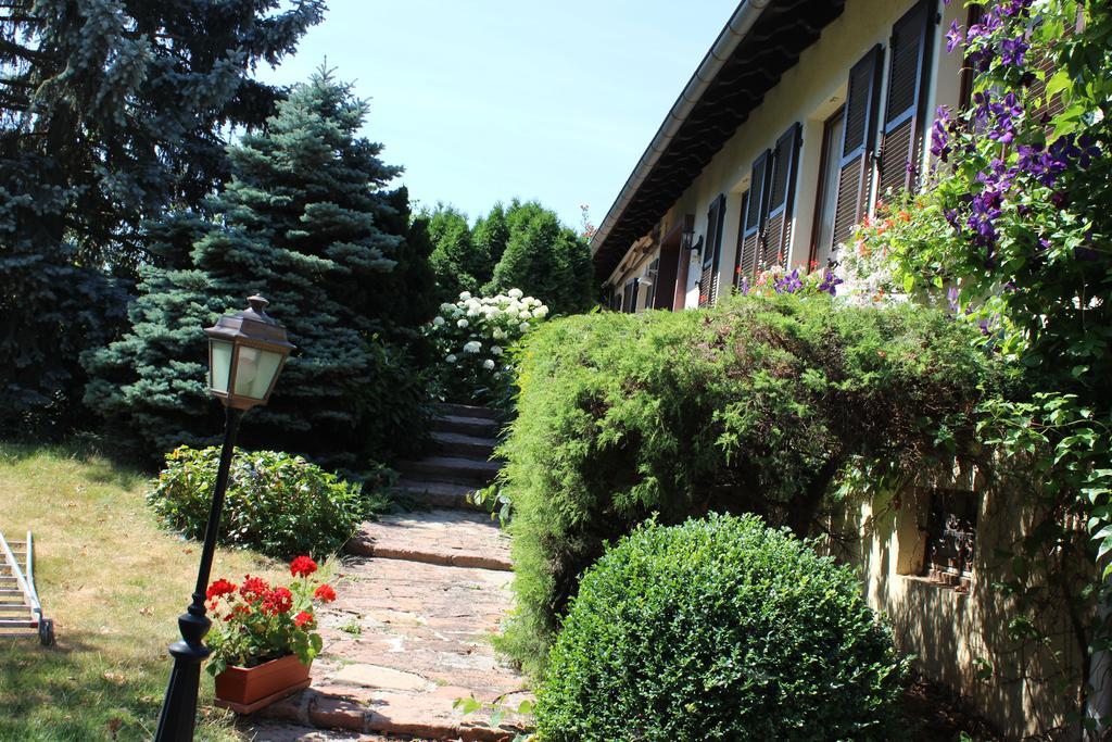 Apartment Route Du Vin Centre Alsace Orschwiller Oda fotoğraf