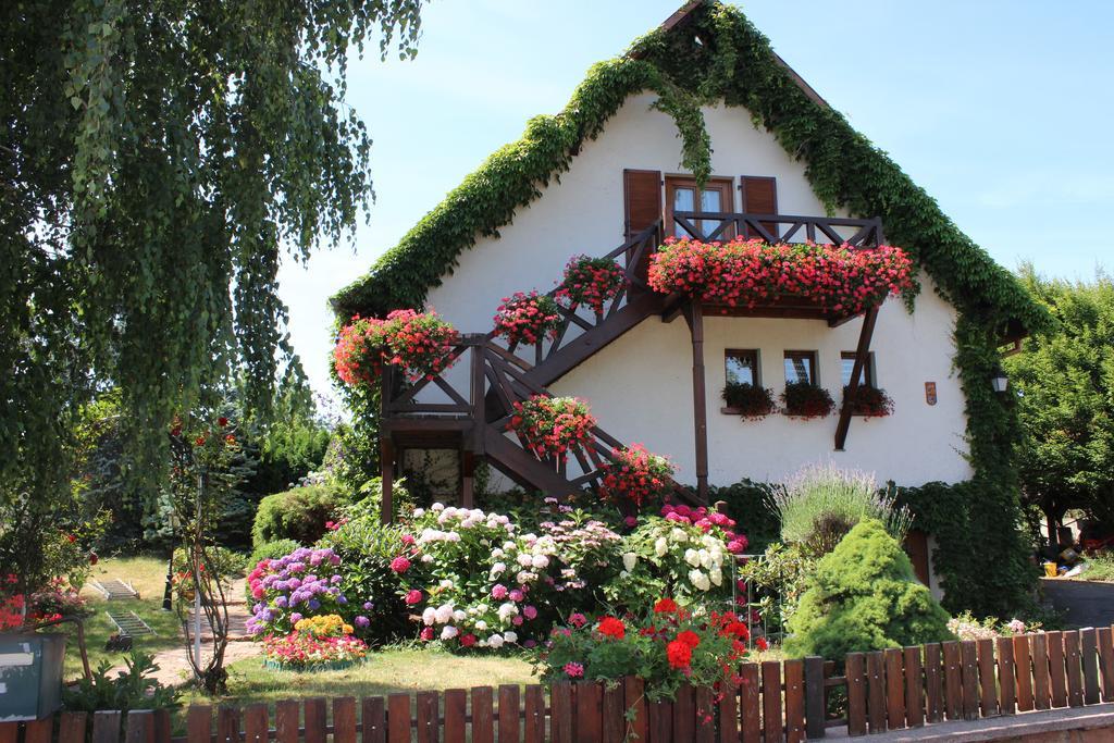 Apartment Route Du Vin Centre Alsace Orschwiller Oda fotoğraf
