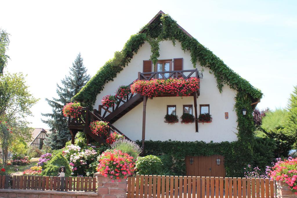 Apartment Route Du Vin Centre Alsace Orschwiller Oda fotoğraf